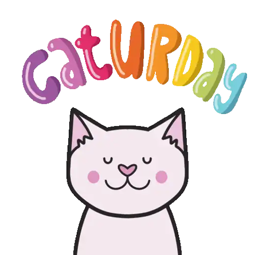 Sábado felino