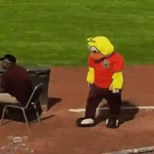 Mascotas Pollo y Pia Algodoneros Unión Laguna⚾֍2🇲🇽Movi 12