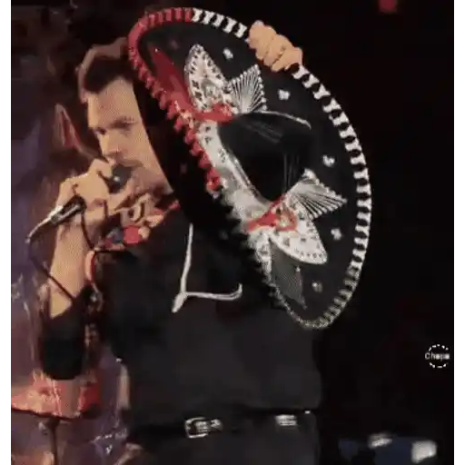 Harry Styles 🧸🇲🇽 14