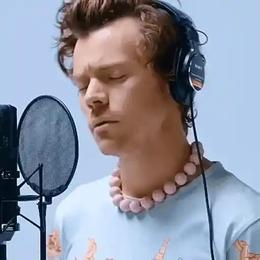 Harry Styles 2 🧸🇲🇽 6