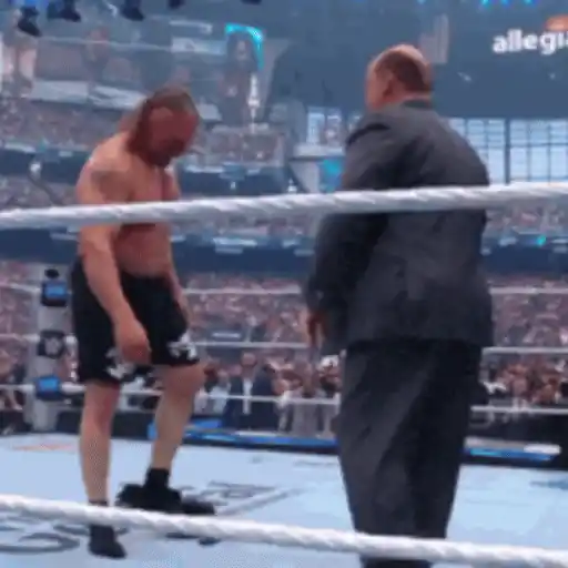 🔥 Brock Lesnar 💪🏼 15
