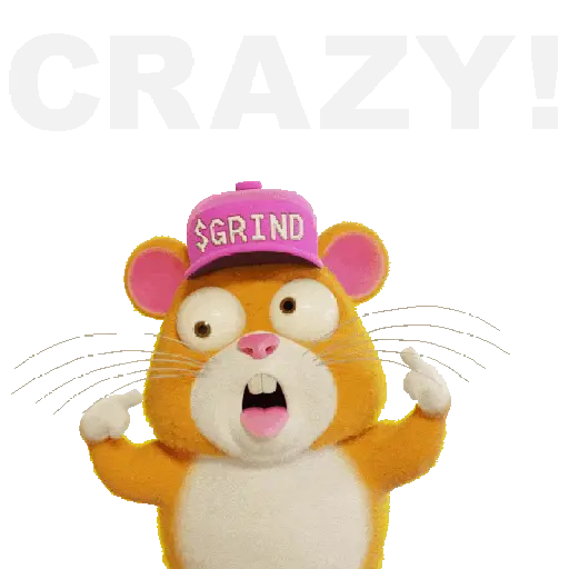 Hámster con Actitud 🐹🌷 27