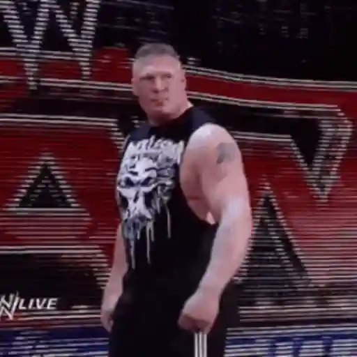🔥 Brock Lesnar 💪🏼 20