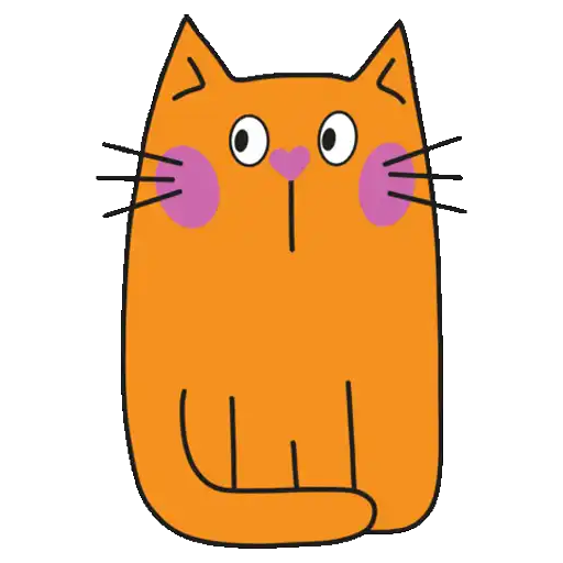Gato surpreso