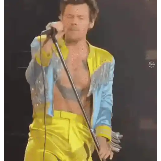 Harry Styles 2 🧸🇲🇽 19