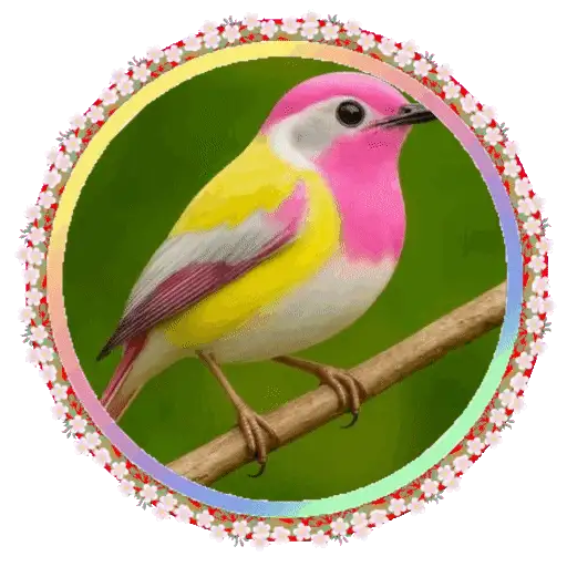 PAJAROS 🦜🦉 12