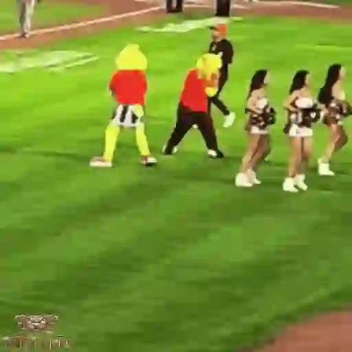 Mascotas Pollo y Pia Algodoneros Unión Laguna⚾֍2🇲🇽Movi 10