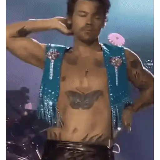 Harry Styles 2 🧸🇲🇽 14