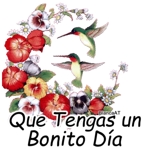 VARIOS DÍAS 23