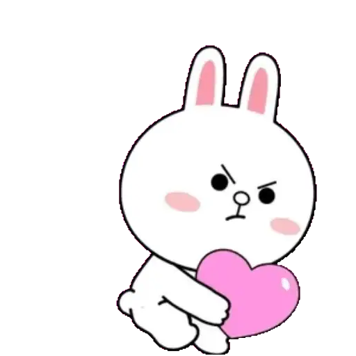 CONY LOVE 14