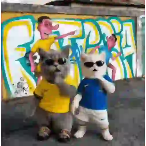 Gatinhos dançantes viralizam 27