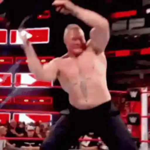 🔥 Brock Lesnar 💪🏼 19