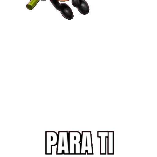 INSECTOS 🦋🐝🌺 15