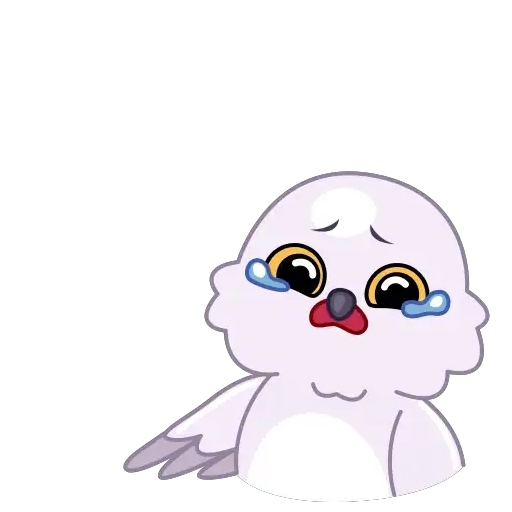 birds mov 4