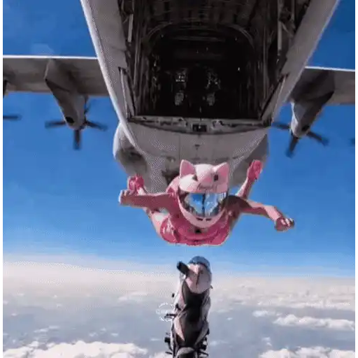 Moto Pinky 🧸🇲🇽 15