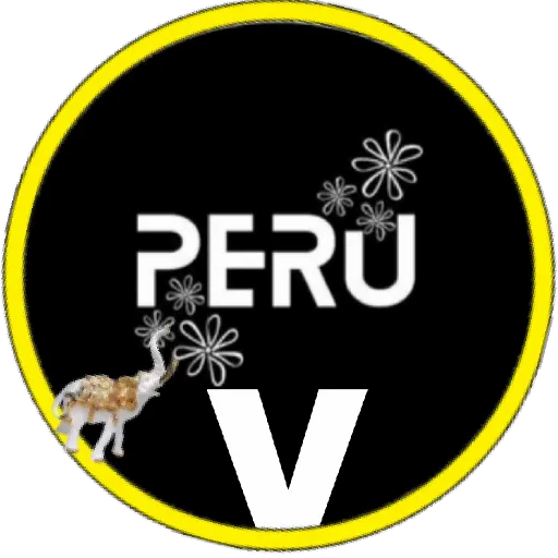 Abc(Fiestas patrias)💞1🇵🇪Movi 23