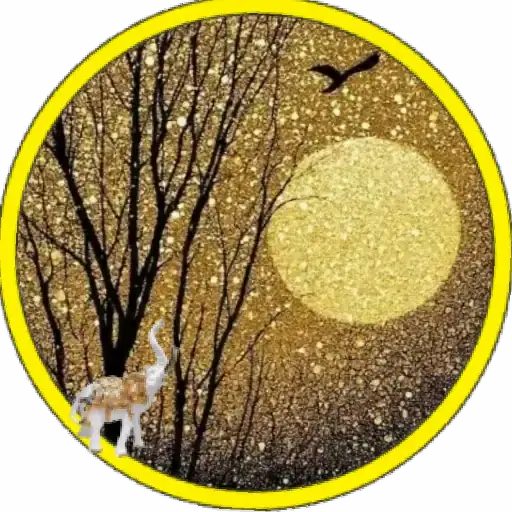 Luna🌙💞2🇵🇪Movi 21