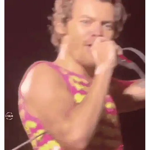 Harry Styles 🧸🇲🇽 26