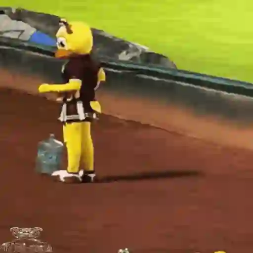 Mascotas Pollo y Pia Algodoneros Unión Laguna⚾֍2🇲🇽Movi 29