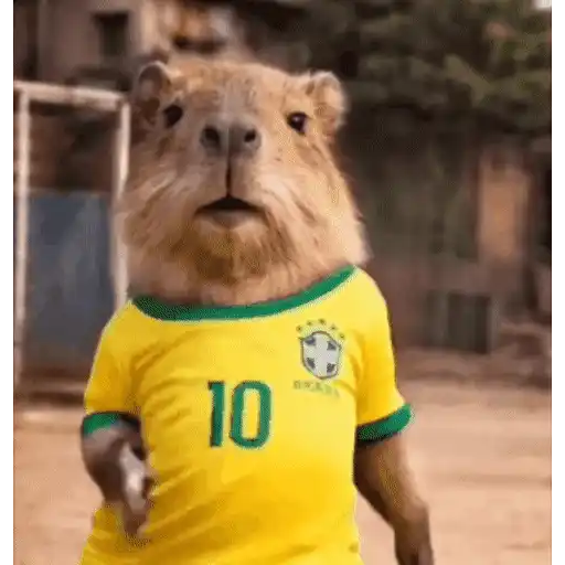 Gatinhos dançantes viralizam 18
