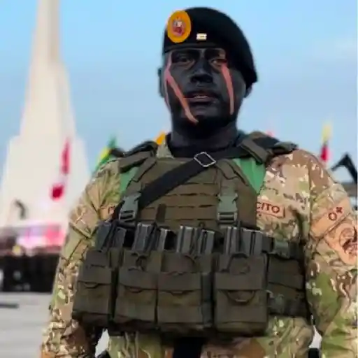 Día de la fuerza aérea✈️💞1🇵🇪Movi 17