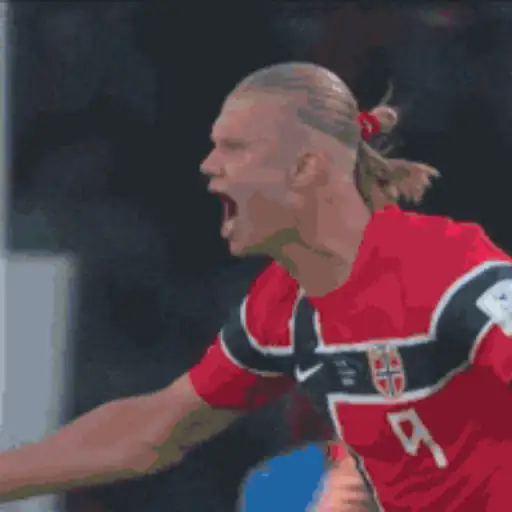 Erling Haaland ⚽️🏟 MOV 9