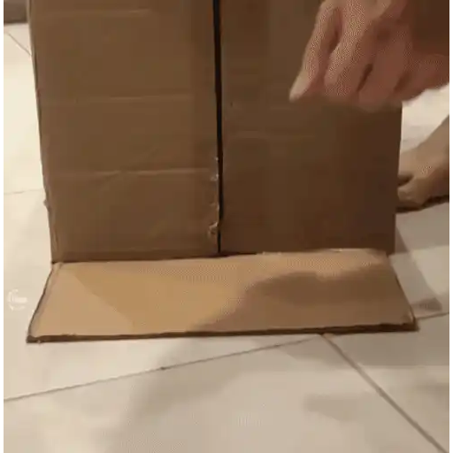 😼 Gatos e Caixas 📦 14