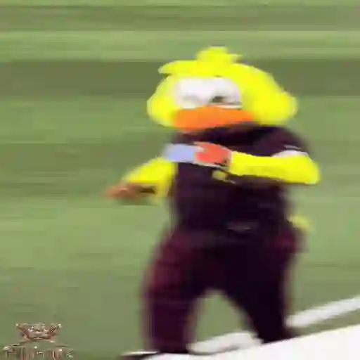 Mascotas Pollo y Pia Algodoneros Unión Laguna⚾֍2🇲🇽Movi 23