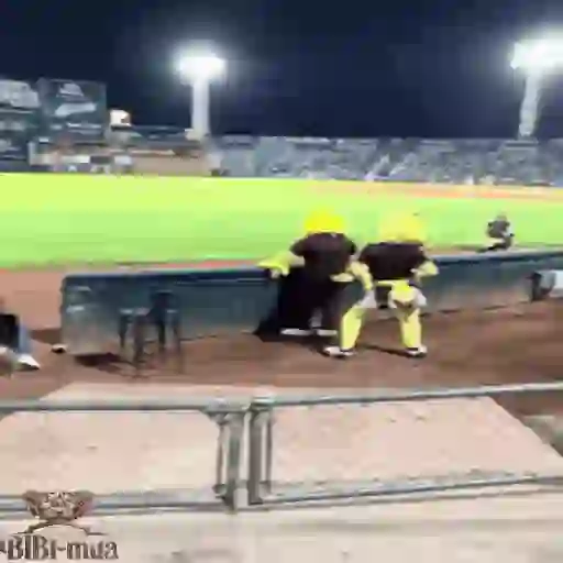 Mascotas Pollo y Pia Algodoneros Unión Laguna⚾֍1🇲🇽Movi 17