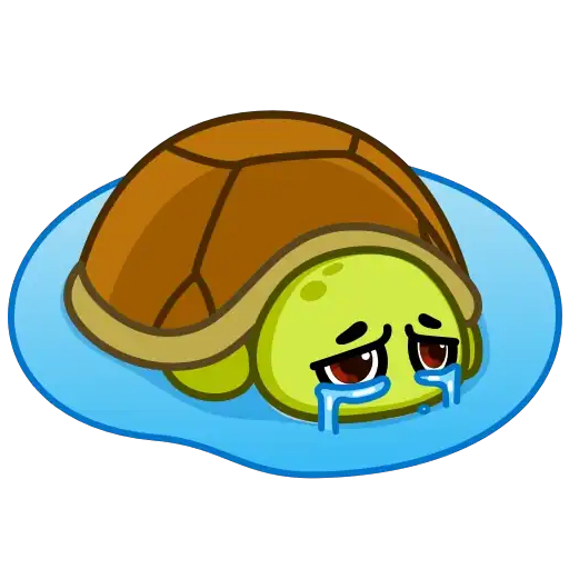 tortu mov 23