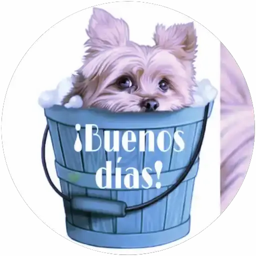 Saludos💞4🇵🇪Movi 10