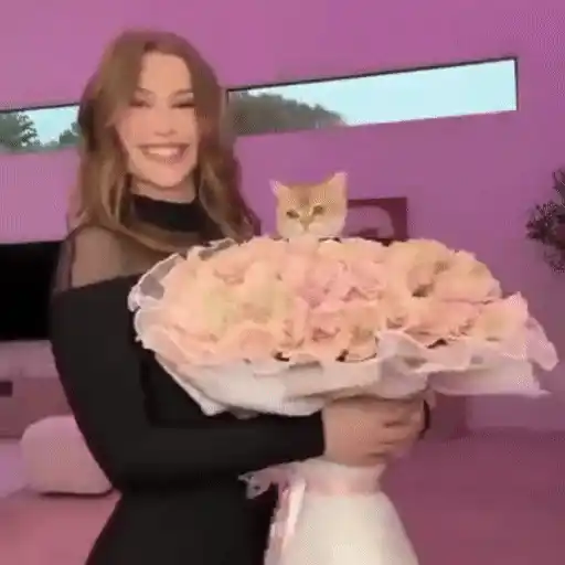 ✮⋆˙Viral tendencia 😎  5   ♱ 2