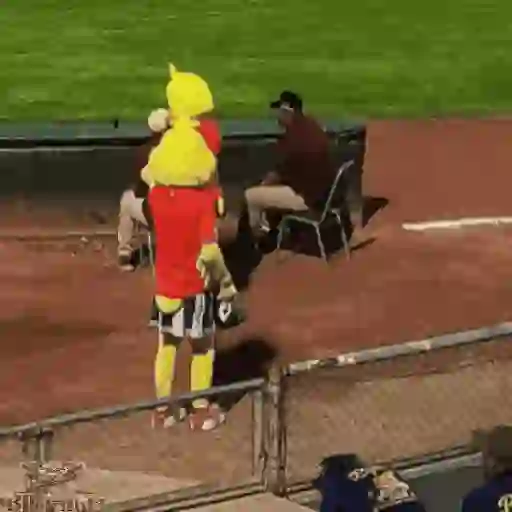 Mascotas Pollo y Pia Algodoneros Unión Laguna⚾֍2🇲🇽Movi 14