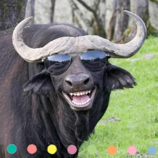 Animales Cool💞1🇵🇪Movi 22