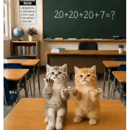 Gatinhos dançantes viralizam 21
