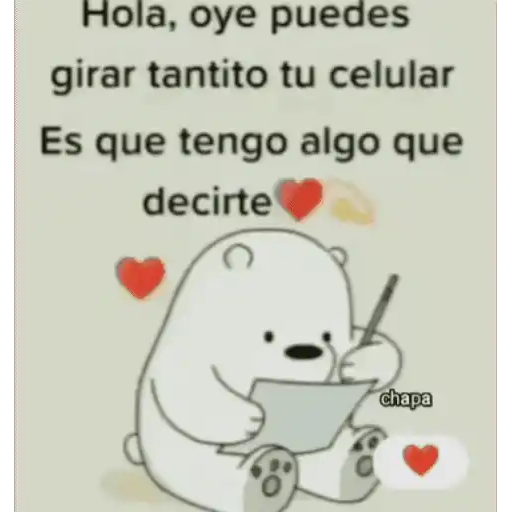 Amor Luci 24