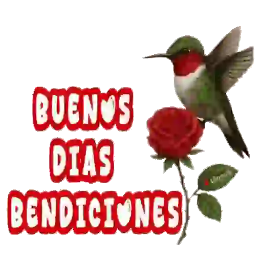 Buenos días 12 🌞 MOV. 🇲🇽 6