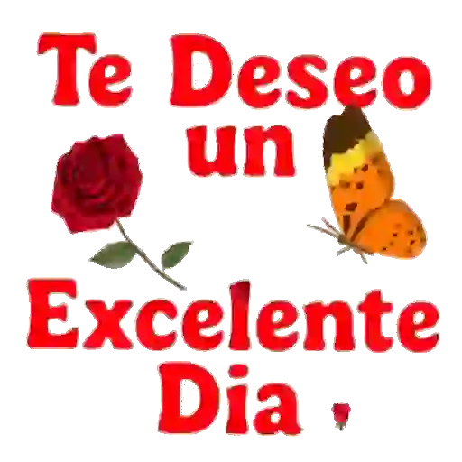 Buenos días 12 🌞 MOV. 🇲🇽 24