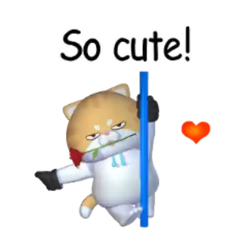 Antuan Funny cat 🐈🪷 Mov 5