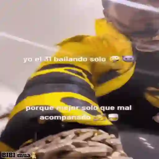 Anuel AA🎙️(Emmanuel Gazmey Santiago)֍1🇲🇽Movi 22