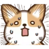 perrito shiba 5