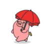 Cerdito y dinero 5