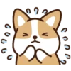 perrito shiba 6