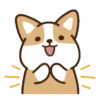 perrito shiba 7