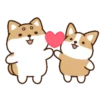 perrito shiba 9
