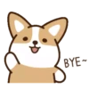 perrito shiba 11