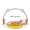 Кот и цыпленок 5