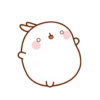 🐰 Molang & Piu piu MOV 🐤 7