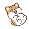 perrito shiba 12