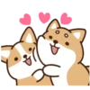 perrito shiba 14